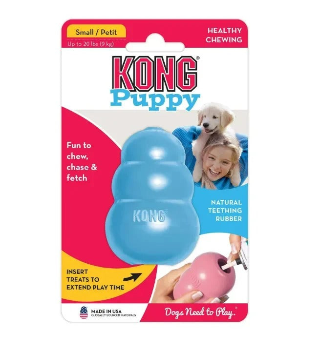 Jouet KONG pour Chien