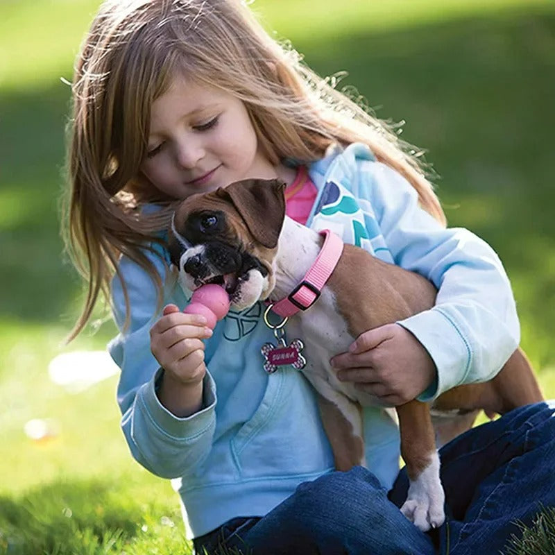 Jouet KONG pour Chien