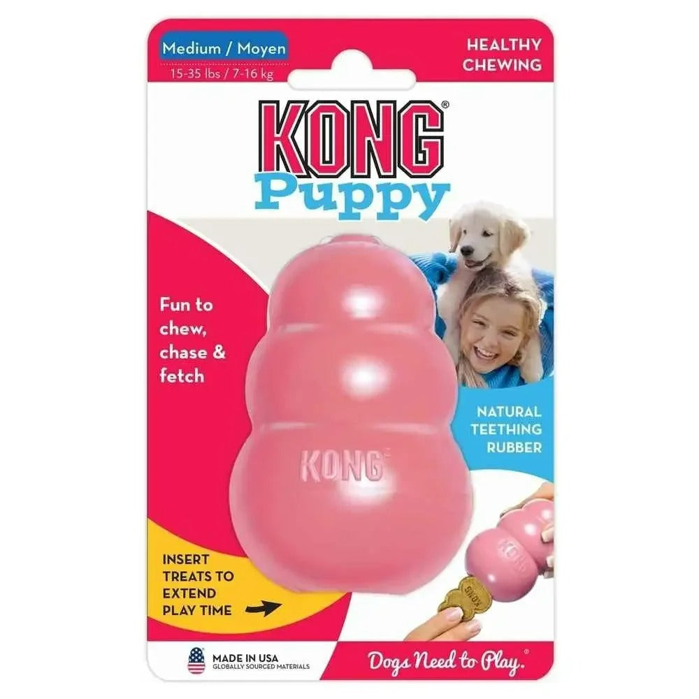 Jouet KONG pour Chien