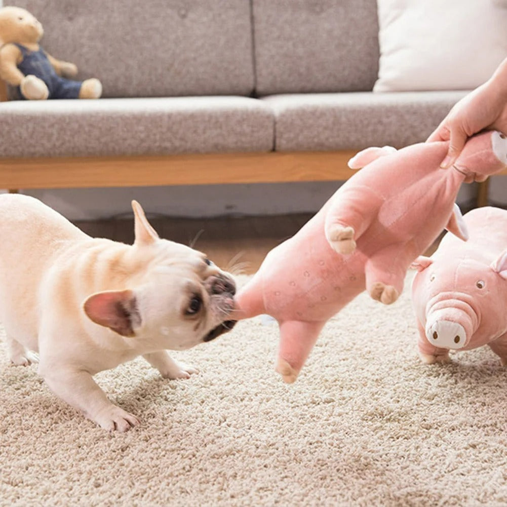 Peluche Chien