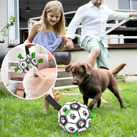 Balle pour chien Foot - L'univers des chiens