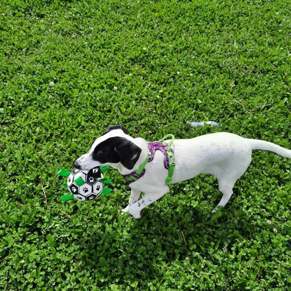 Balle pour chien Foot - L'univers des chiens