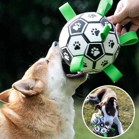 Balle pour chien Foot - L'univers des chiens