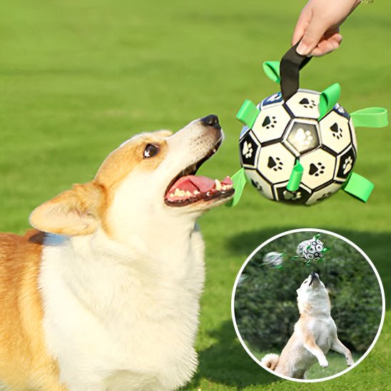 Balle pour chien Foot - L'univers des chiens