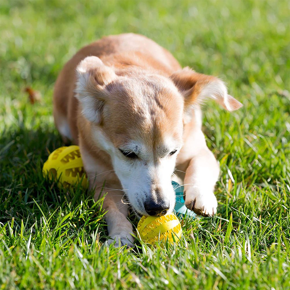 Balle pour chien Rubber Toy's™ - L'univers des chiens