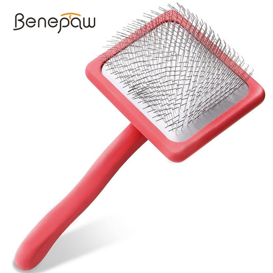 Brosse pour chien - L'univers des chiens