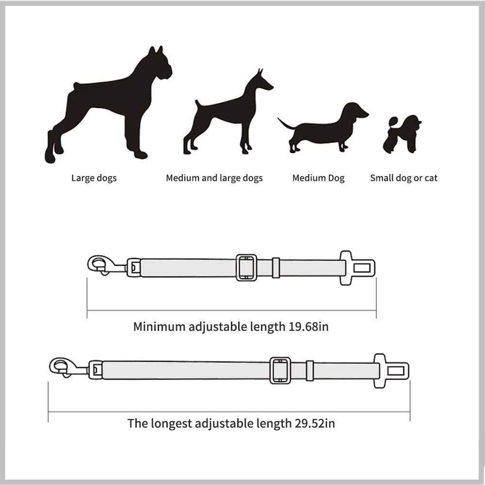 Ceinture de sécurité pour chiens - L'univers des chiens