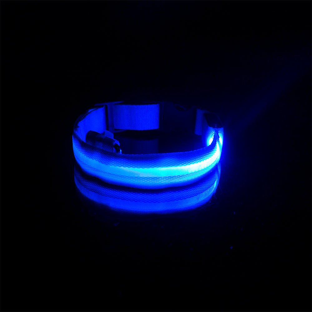 Collier pour chien lumineux - L'univers des chiens