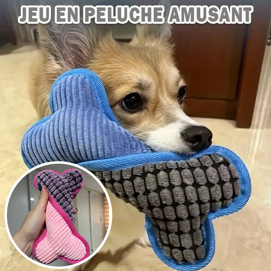 Jouet pour Chien