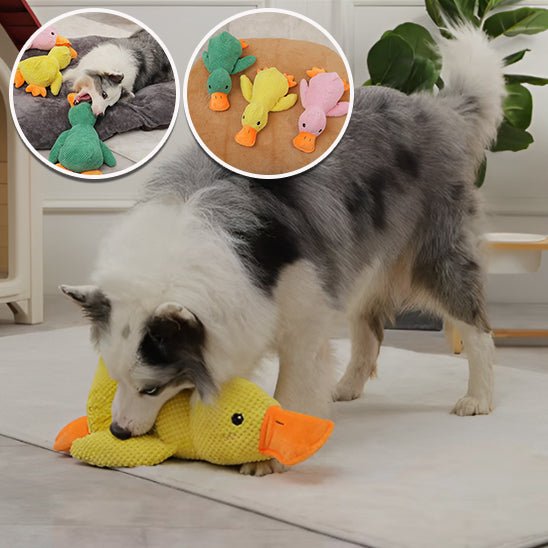 Peluche chien en Forme de Canard - L'univers des chiens