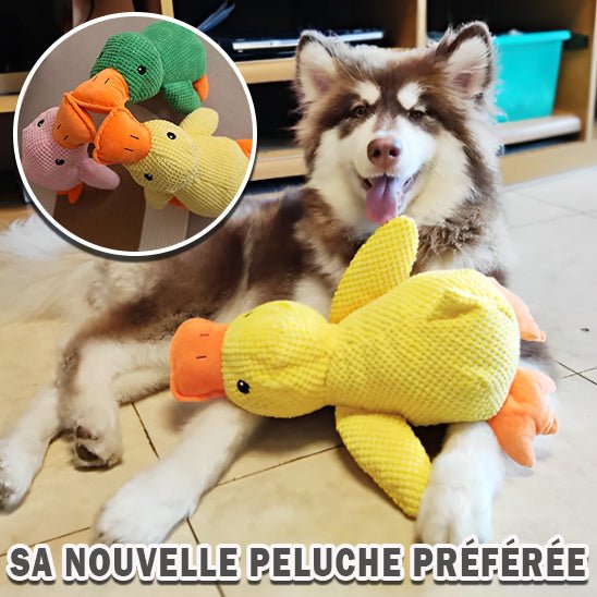 Peluche chien en Forme de Canard - L'univers des chiens